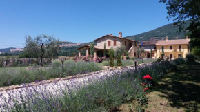 Sulla Strada di San Francesco Assisi